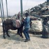 Athen und Peloponnes
